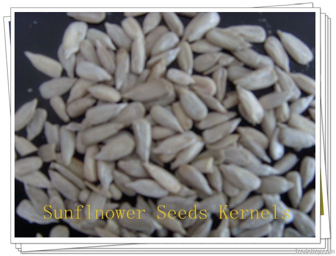 Confectionary/Bakery sunflower seeds kernels