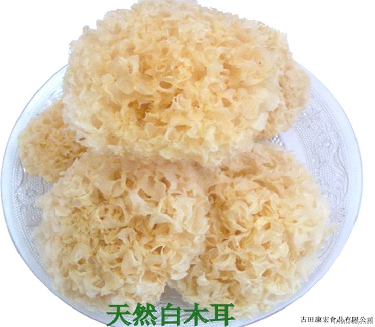 dried white fungus