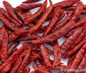 Dry Red Chilli