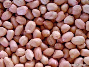 Top Quality Peanut Kernels Availble