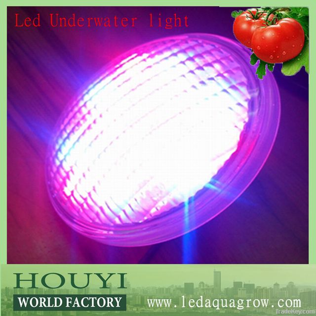 led underwater light