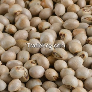 Grade A Pigeon Peas From South Africa