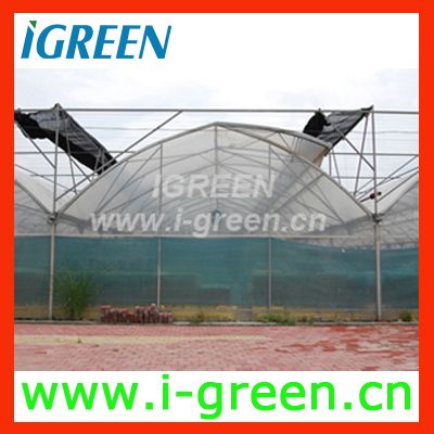 Galvanised Steel GreenhouseWL96