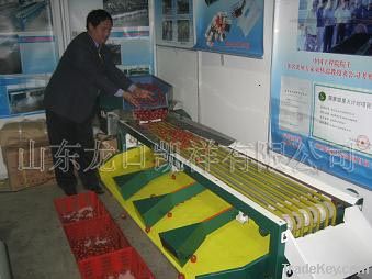 XGJ-XXHS type fruit grading machine ( for small tomatoes, cherry tomato