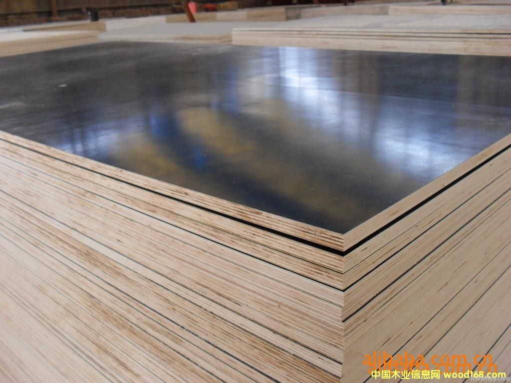 sell Ching Professional production concrete film faced plywood