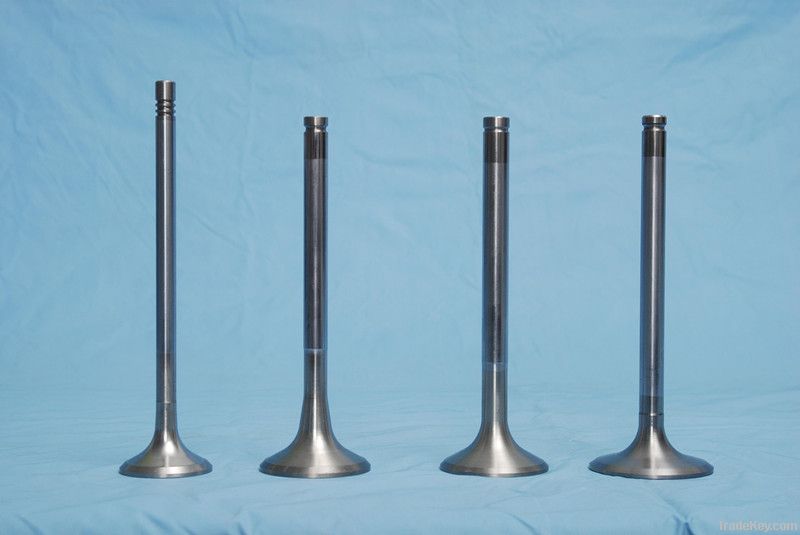 engine valves for BMW