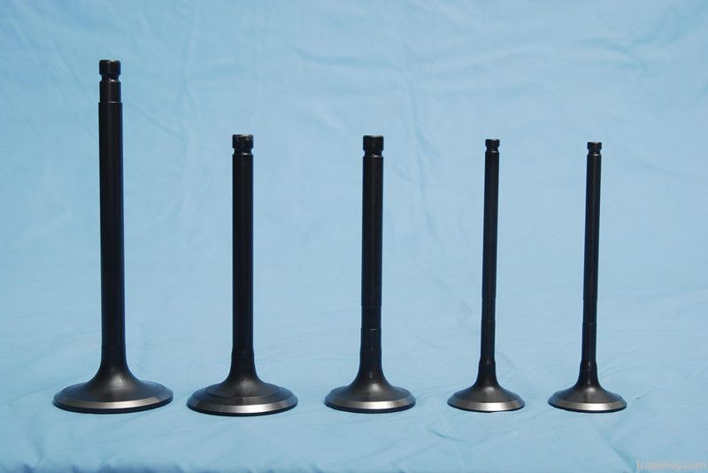 engine valves for PERKINS