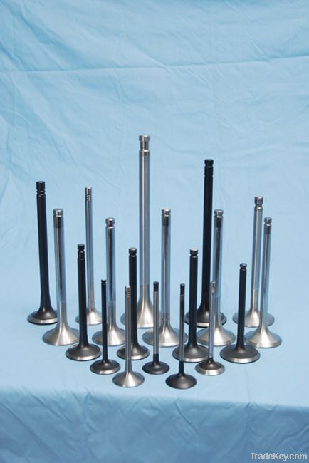 car engine valve