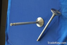 intake &amp; exhaust valve