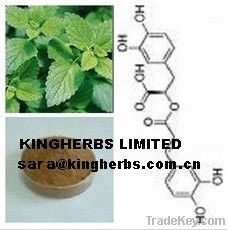 Melissa Officinalis Extract