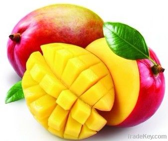 Mango Extract