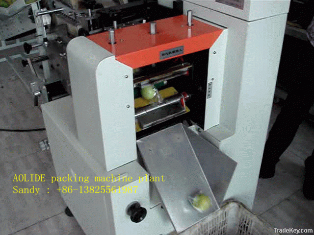 fruit packing machine, orange packing machine, lemon packing machine