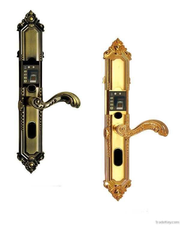 print&coded lock