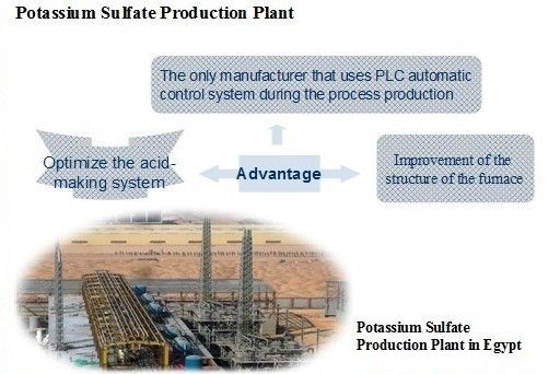 SOP Production Line, SOP Plant