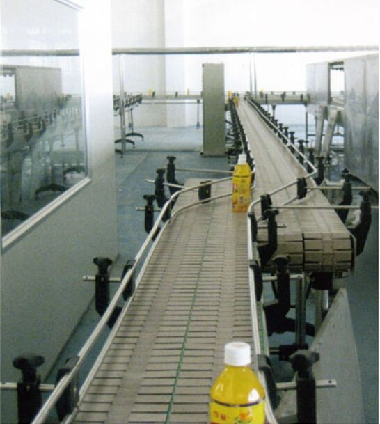 top chain conveyor