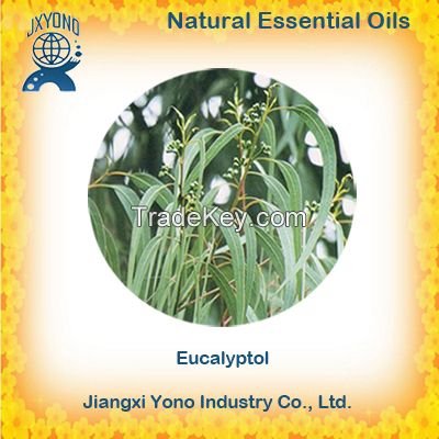 Chinese Eucalyptol 1 8 Cineole Wholesale Price Supplier and Exporter