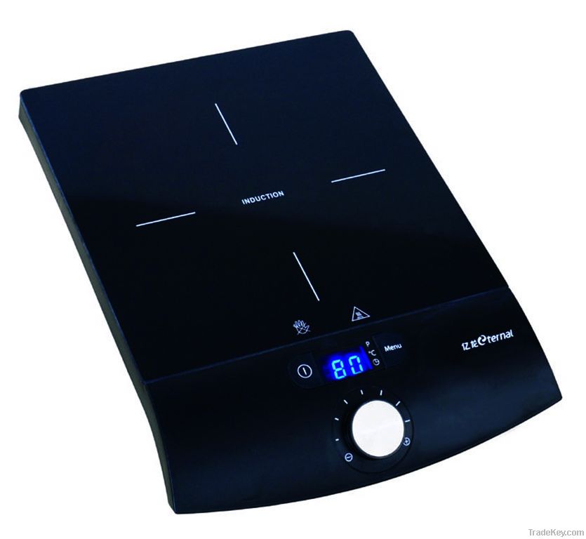 Induction cooker