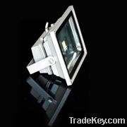 LED Flood Light