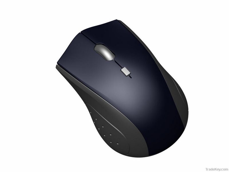 computer mouse