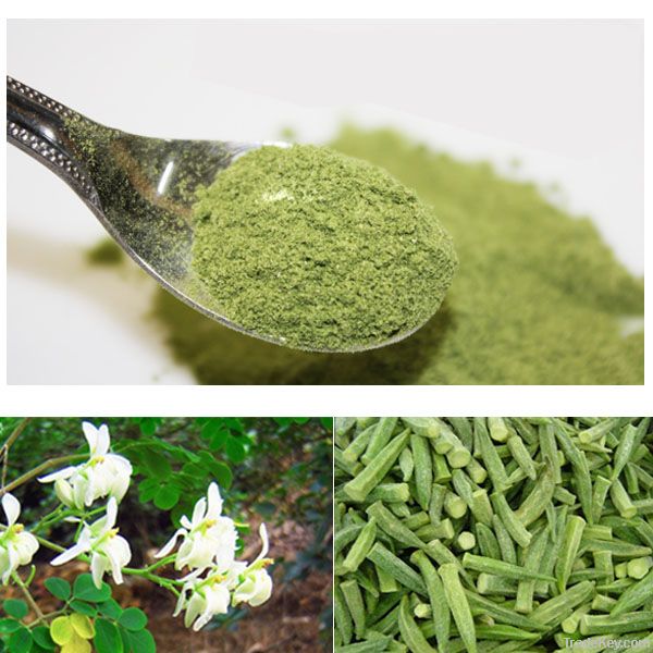 Top Quality Moringa Leaf Powder GMP Certified Manufacturer