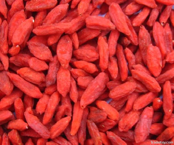 Dried goji berries