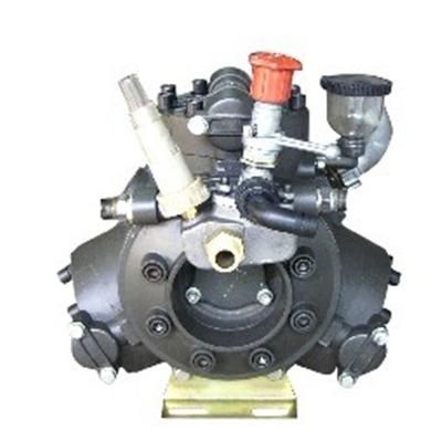 Diaphragm Pumps , Diaphragmatic Pump