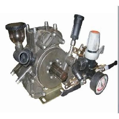 Diaphragm Pumps , Diaphragmatic Pump