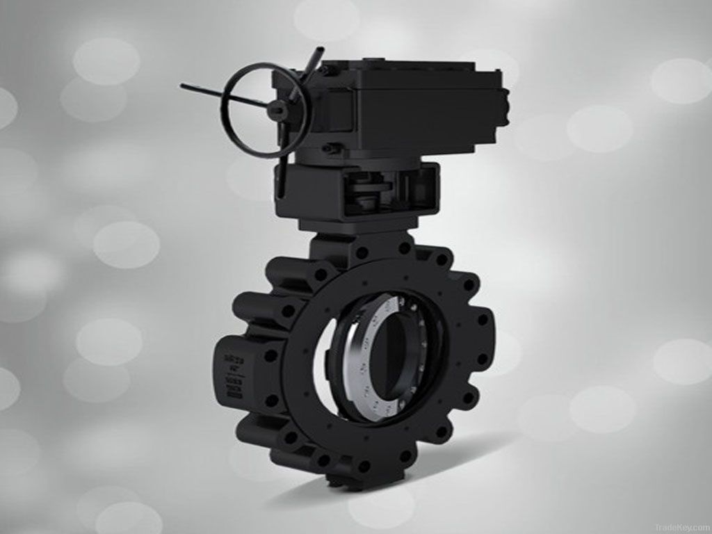 Lug type butterfly valves