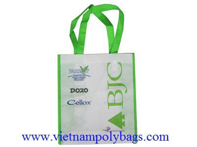 PP non woven shopping sack