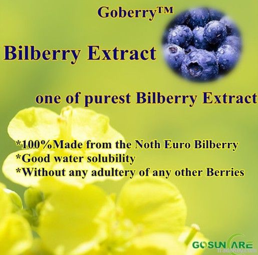 Bilberry Extract