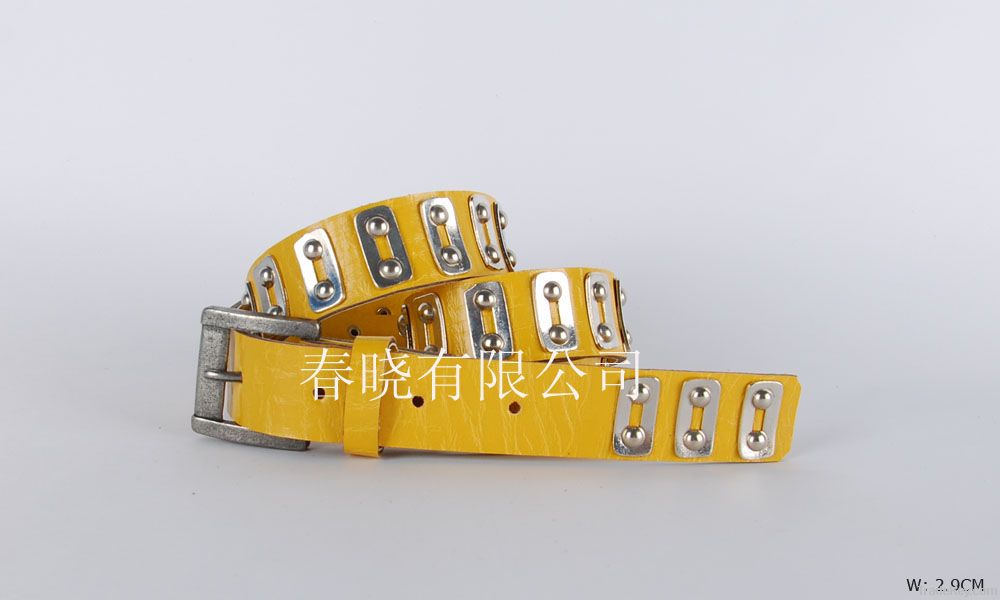 2013 new belt GZ003