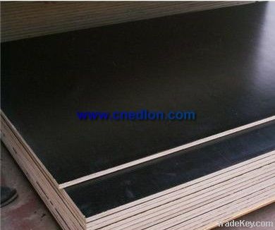 Black Film Faced Plywood