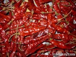 Red Chilli