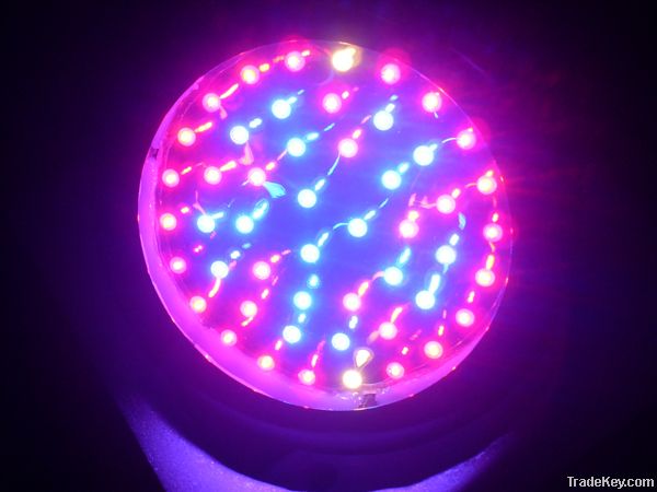 50W vegetable growing led light bloom led grow light