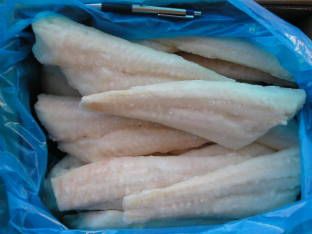 Frozen Haddock fillet