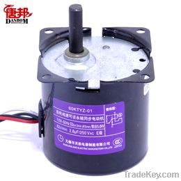 AC Synchronous gear motor