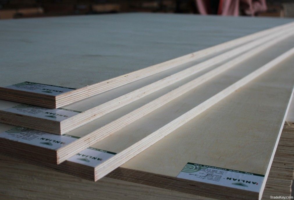 Birch plywood C/D