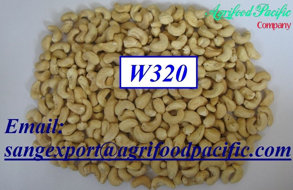 Vietnam Cashew Nuts w240, w320, w450, WS,SW, LBW, LP, SP