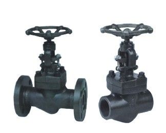 Forged Valves