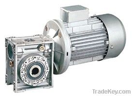 Worm Gear Reducer