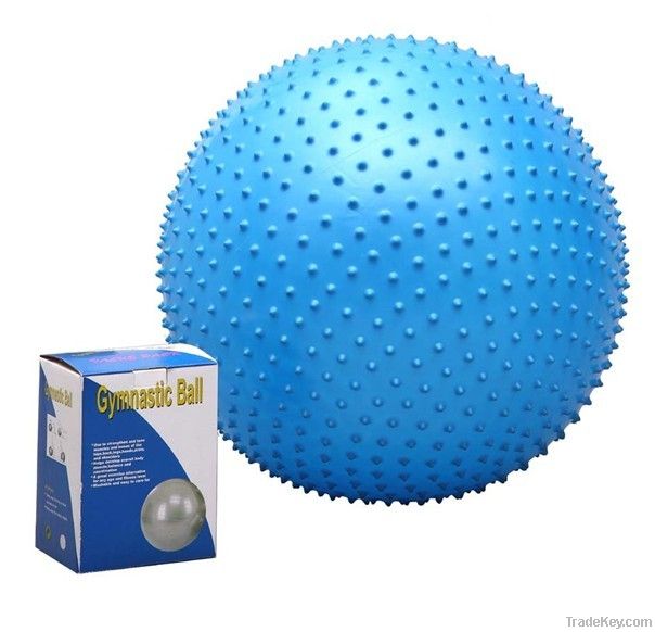 exercise ball gym ball yoga ball balance ball swiss ball pilates ball