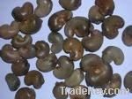 Dried Fruits | W240 Cashew Nuts Suppliers | W320 Cashew Nut Exporters |Buy  WW230 Cashew Nut | Cheap W450 Cashew Nut | Wholesale WW240 Cashew Nut |Discount WW320 Cashew Nuts | WW450 Cashew Nut | SW320 Cashew Nut