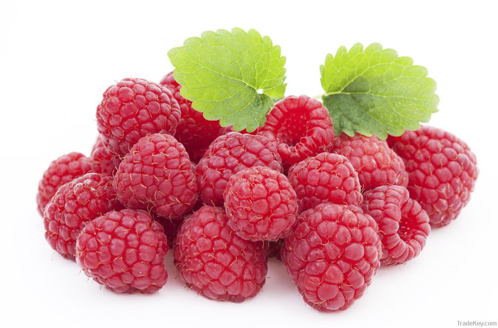 Frozen Raspberry