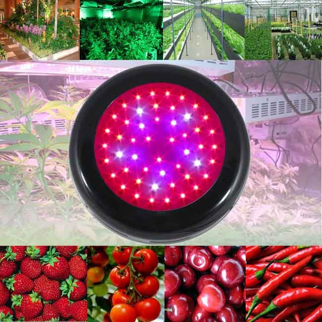 UFO 150w led grow light for medical plant