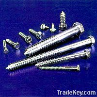 Hex Lag screw