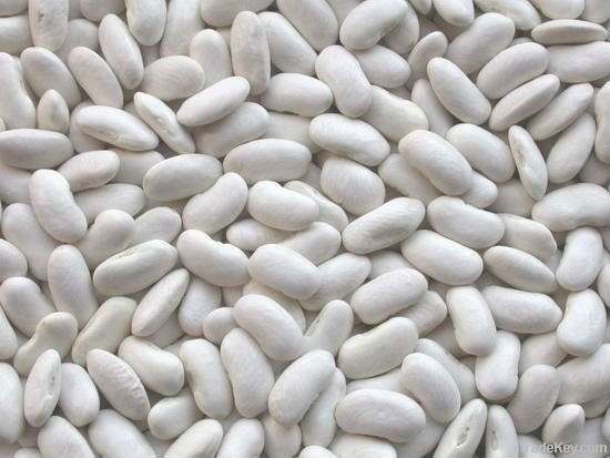 White kidney beans