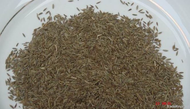 cumin seeds, anil seeds, corianda seeds