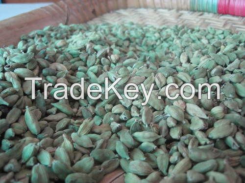 Green pods, cardamum, cardamom, green cardamom spice Suppliers, Exporters