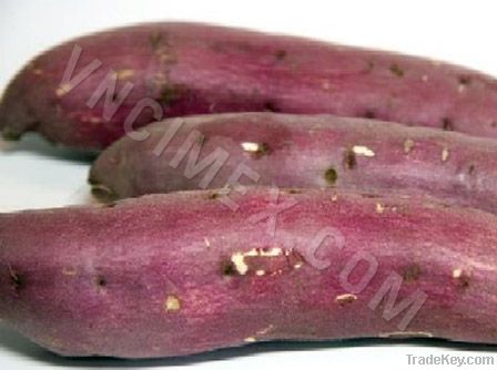 SWEET POTATO