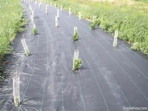 weed control fabric in rolls